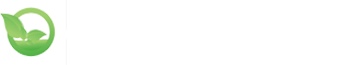  web name